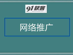 广州seo推广优化