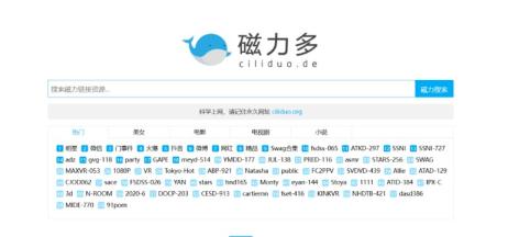 磁力最佳搜索引擎入口