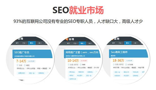 seo专业培训课程