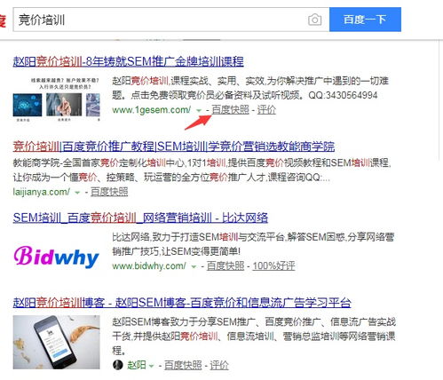 seo竞价