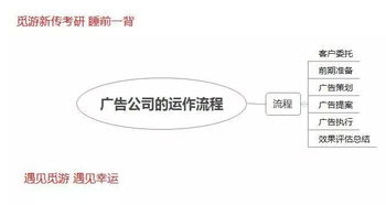 公司运营策划方案