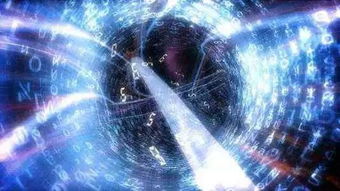 百度蜘蛛池收录:探寻神秘海洋池的蜘蛛塔，揭秘深海生物的奥秘
