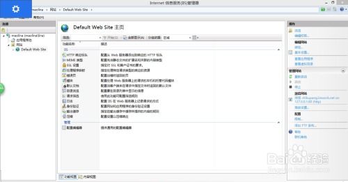 做网站的软件
