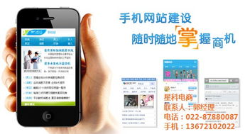 沧州网站建设推广