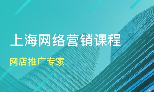 上海网络营销有限公司