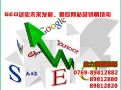 东莞seo网络推广专