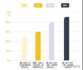 整站优化案例