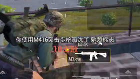 b站刺激战场视频