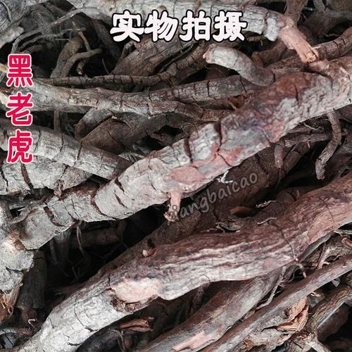 虎骨风的正确用量是多少? 虎骨风用量多少