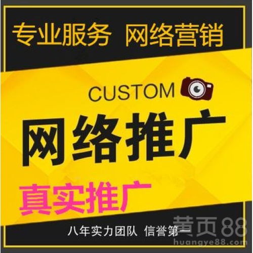 上海网络推广团队