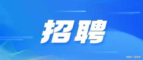 上海网络推广招聘