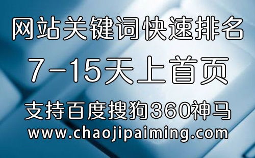 百度蜘蛛池效果:深度解析搜狗蜘蛛池外链策略，优化SEO的关键一步
