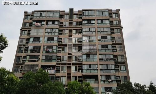 百度蜘蛛池价格:上海蜘蛛池电话，专业、高效、便捷的服务体验