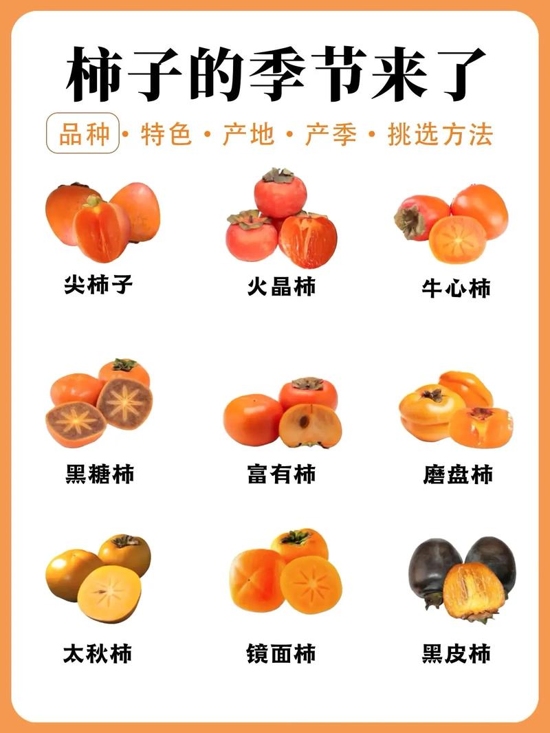 柿子含多少碳水? 柿子含多少碳水