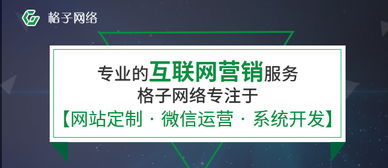 东莞网站运营