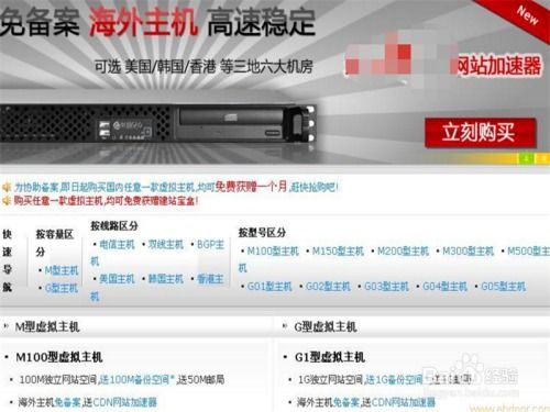 公司免费网站建设