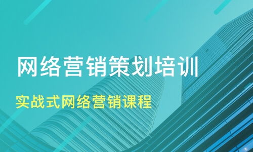 网络营销策划案例