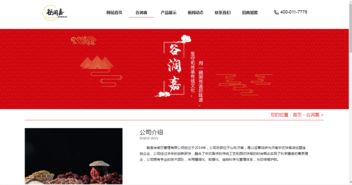 网站前期推广