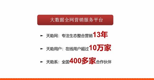 整站优化推广品牌