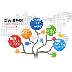 中国的网络营销公司