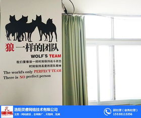 郑州网站优化顾问