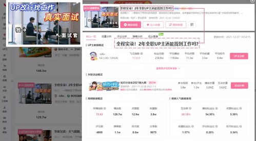 b站推广网站2024官网