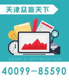 天津排名优化