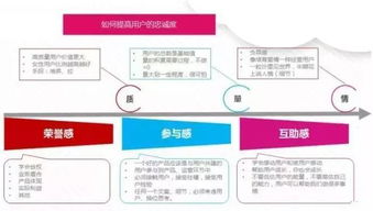 平台运营的主要工作内容