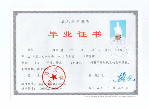 成人本科