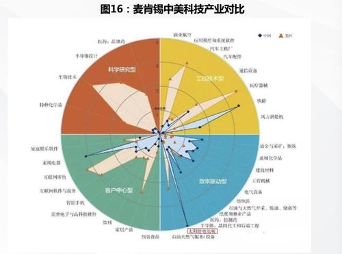 百度蜘蛛池咨询:最新小旋风蜘蛛池，革命性技术创新引领爬虫领域新潮流