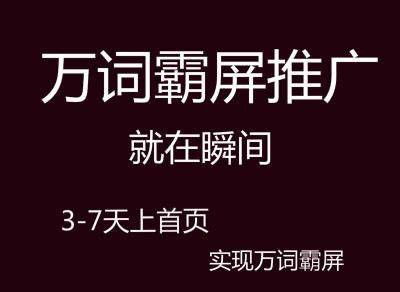 威海seo公司