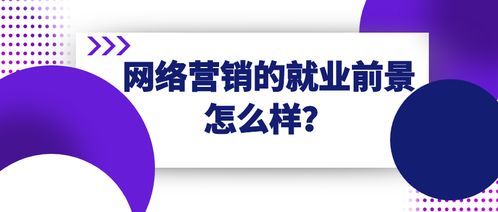 seo就业前景如何