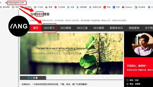 廊坊seo网站搭建