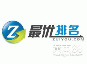 大连seo排名外包