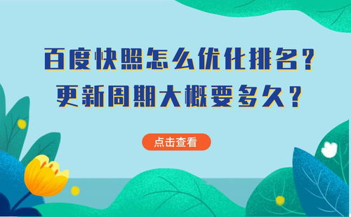 潍坊百度快照优化排名