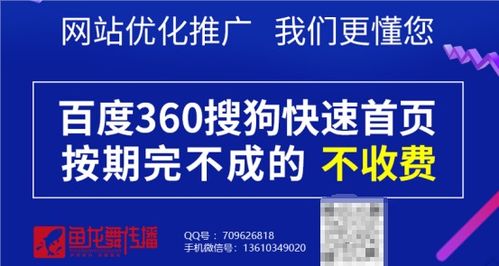 百度蜘蛛池效果:深度解析蜘蛛池外链收录，优化策略与实战技巧
