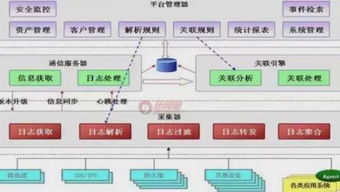 百度蜘蛛池引流:揭秘阿里蜘蛛池骗局，网络营销陷阱，小心上当！