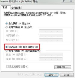 网站域名服务器查询