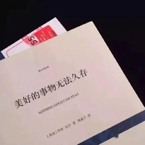 精美软文句子