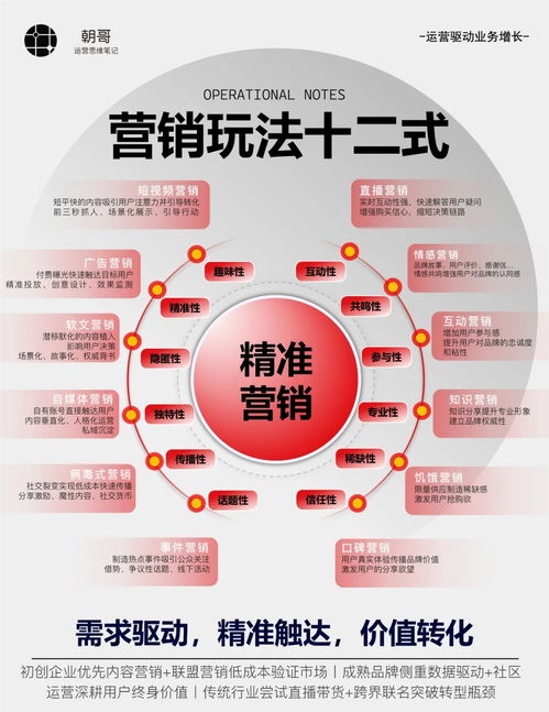 网站策划运营