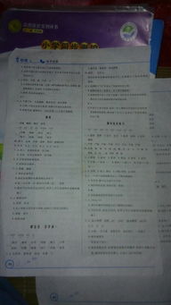优化设计答案六下语文