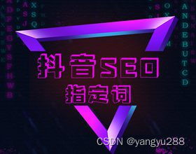 抖音seo优化排名软件