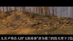 百度蜘蛛池引流:昨夜神秘失踪，蜘蛛池一夜之间消失之谜
