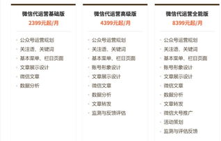 运营一般一个月多少钱