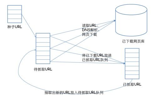 百度蜘蛛池咨询:蜘蛛池配置服务器，高效网络爬虫的关键步骤解析