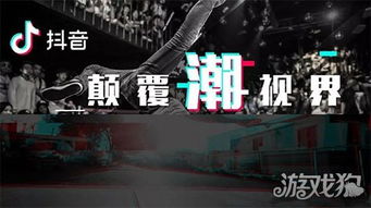 百度蜘蛛池租用:黑侠蜘蛛池站群，助力企业网络营销的新利器