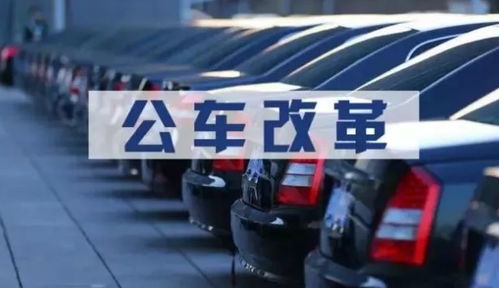 百度蜘蛛池价格:蜘蛛池出租车，创新出行方式背后的科技与生活变革