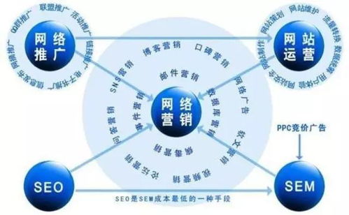 百度蜘蛛池收录:给力蜘蛛池为何失效？揭秘网络营销困境