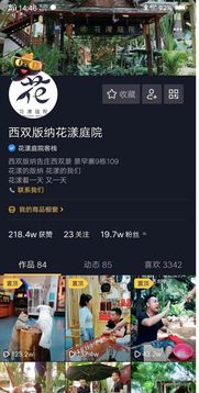 百度蜘蛛池价格:大宝强引蜘蛛池，揭秘网络营销背后的秘密武器