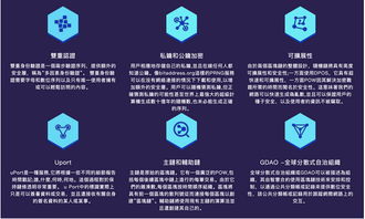 百度蜘蛛池效果:揭秘蜘蛛矿池创始人，一位引领区块链行业的创新者